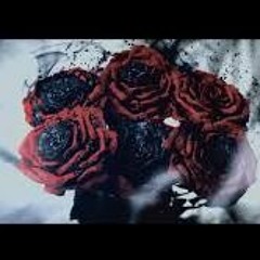 Lady Shorty D / L.S.D