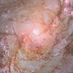 seg314