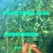 empress-ola