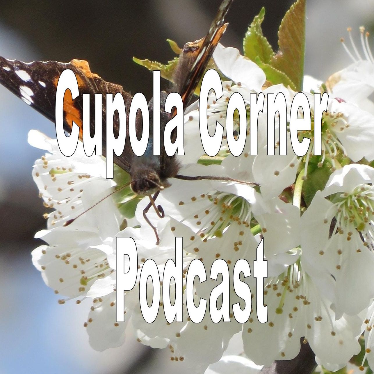 CupolaCorner