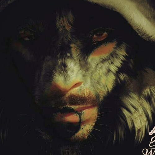 Anarchy Wolf’s avatar