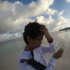 Andirezkytama