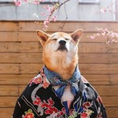 runan