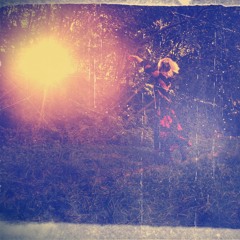 Les hommes tombent de la Lune