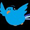DJBirb
