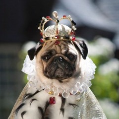Puglordjr 032
