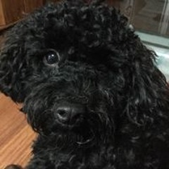 quinnmr