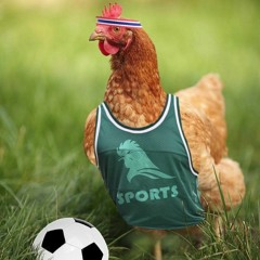 Soccer Talk with "The Cock"