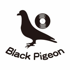 Black Pigeon