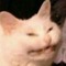 cmon1337