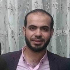 Ahmed Ghoniem