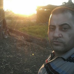 دايلر