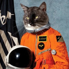 トゥ・ザ・ムーン