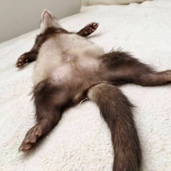 Relax
