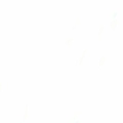 Name