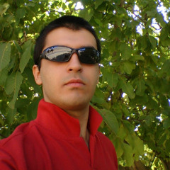 amir