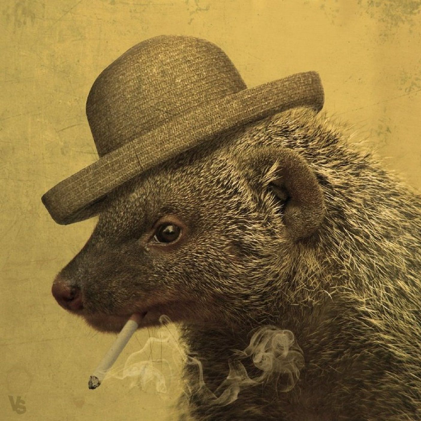 The Casual Mongoose Podcast - Games, TV, Movies, Geek & Nerdy stuff