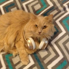 Mr cuddles442