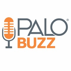PALO BUZZ Digital Marketing and More