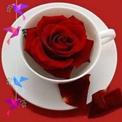 حورية البحر