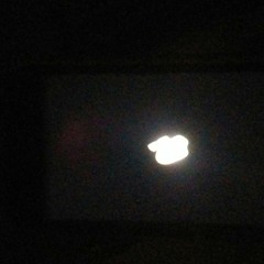 TheConstant Bright Light