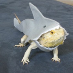 Jonathan Crawford 17