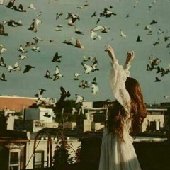 Heba Elzr