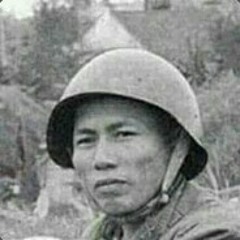 Cỏ màu xanh lý