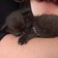 Elizabete Maria Ferreira