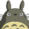 user305223765