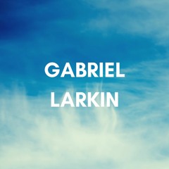 Gabriel Larkin