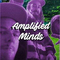 AMPLIFIED MINDS N.Z  ☊ ☯⚡♫