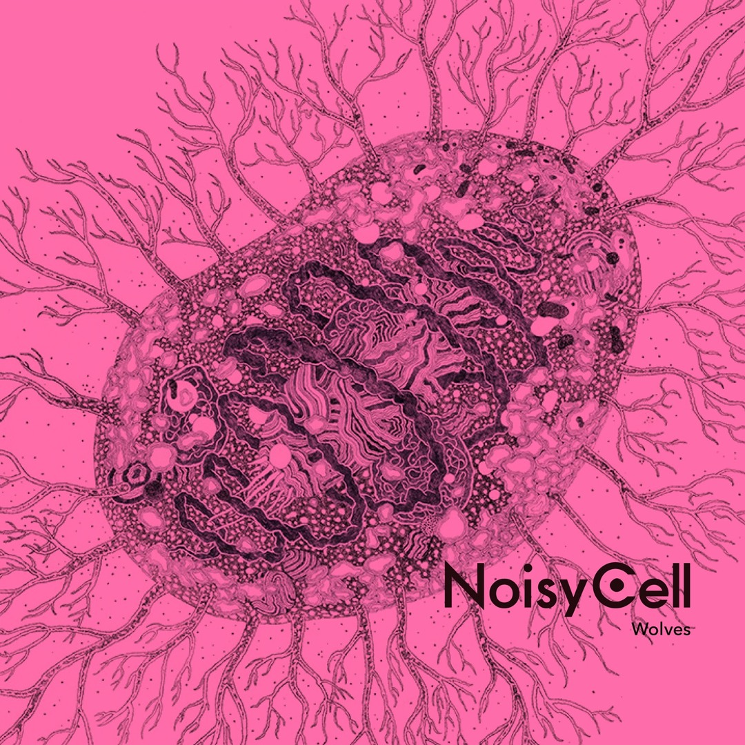 邦楽 Noisy Cell / Across NOISYCELL - Pieces - Amazon.com Music