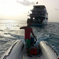 احمد حسان حسان