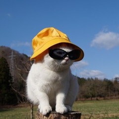 thelizaily (зэлизайли)