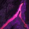 Axiomatics