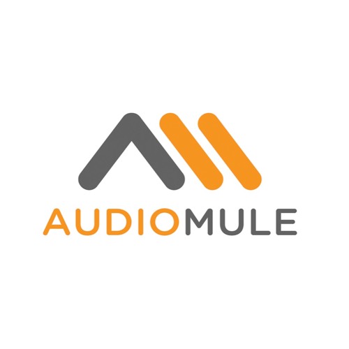 Audiomule’s avatar