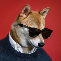New & hot: Ambient
