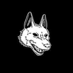 GXDDVMN