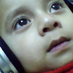 Sayed Bacha
