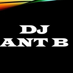 DJ ANT B