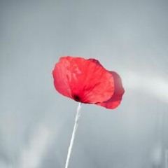 Rajaul Islam (Ripon)