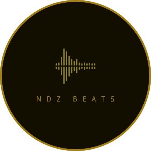 NDZ’s avatar
