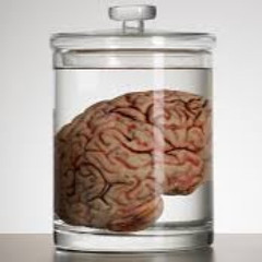 The Brain Washerz OSBLK
