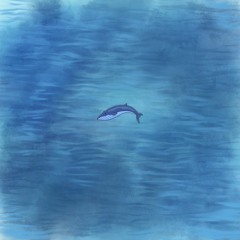 Tiny Blue Whale