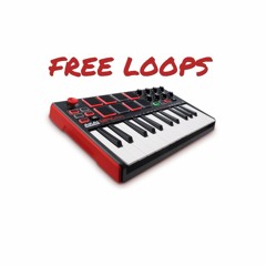FREE LOOPS