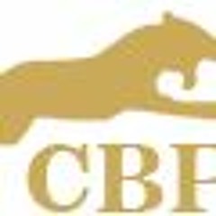 Revolutionize Storage With Collapsible Rigid Boxes - Get Yours Now!