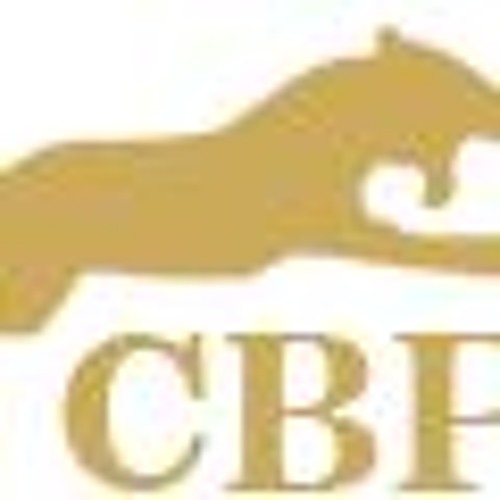 Revolutionize Storage With Collapsible Rigid Boxes - Get Yours Now!