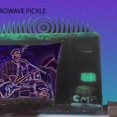 CosmicMicrowavePickle