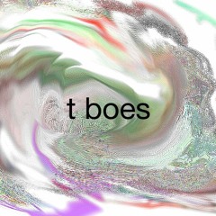 t boes